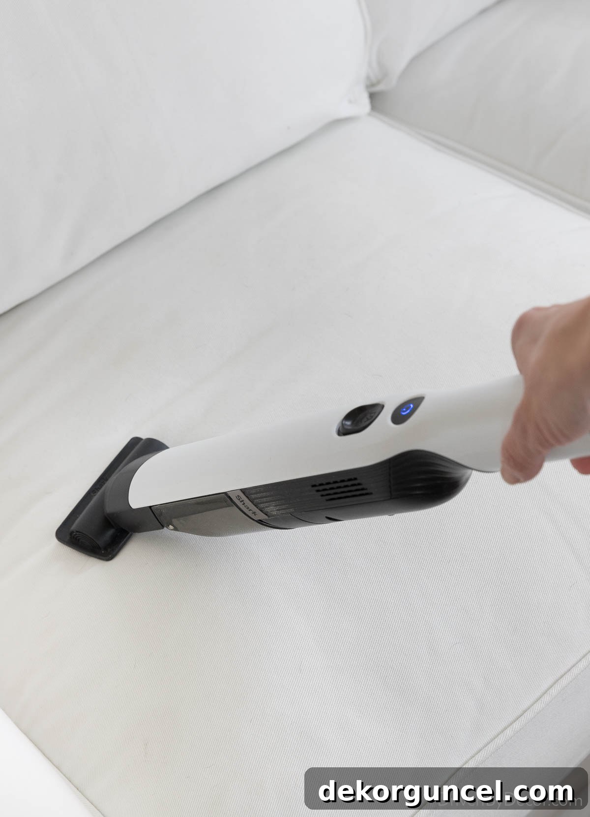 Favorite cleaning tools - handheld vacuum effectively cleaning pet hair from upholstery