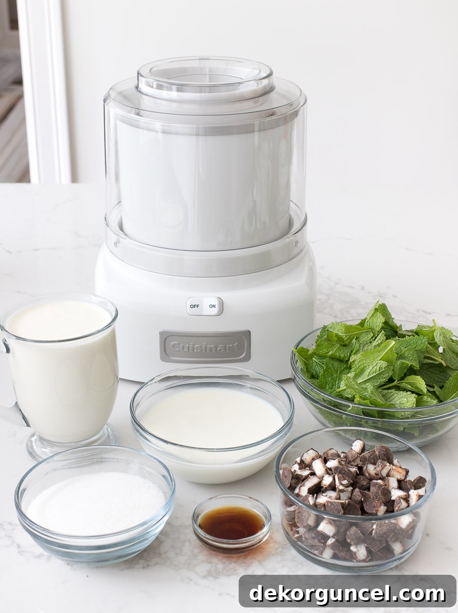 A simple yet effective ice cream maker that churns out delicious homemade ice cream, a perfect treat for warm weather.