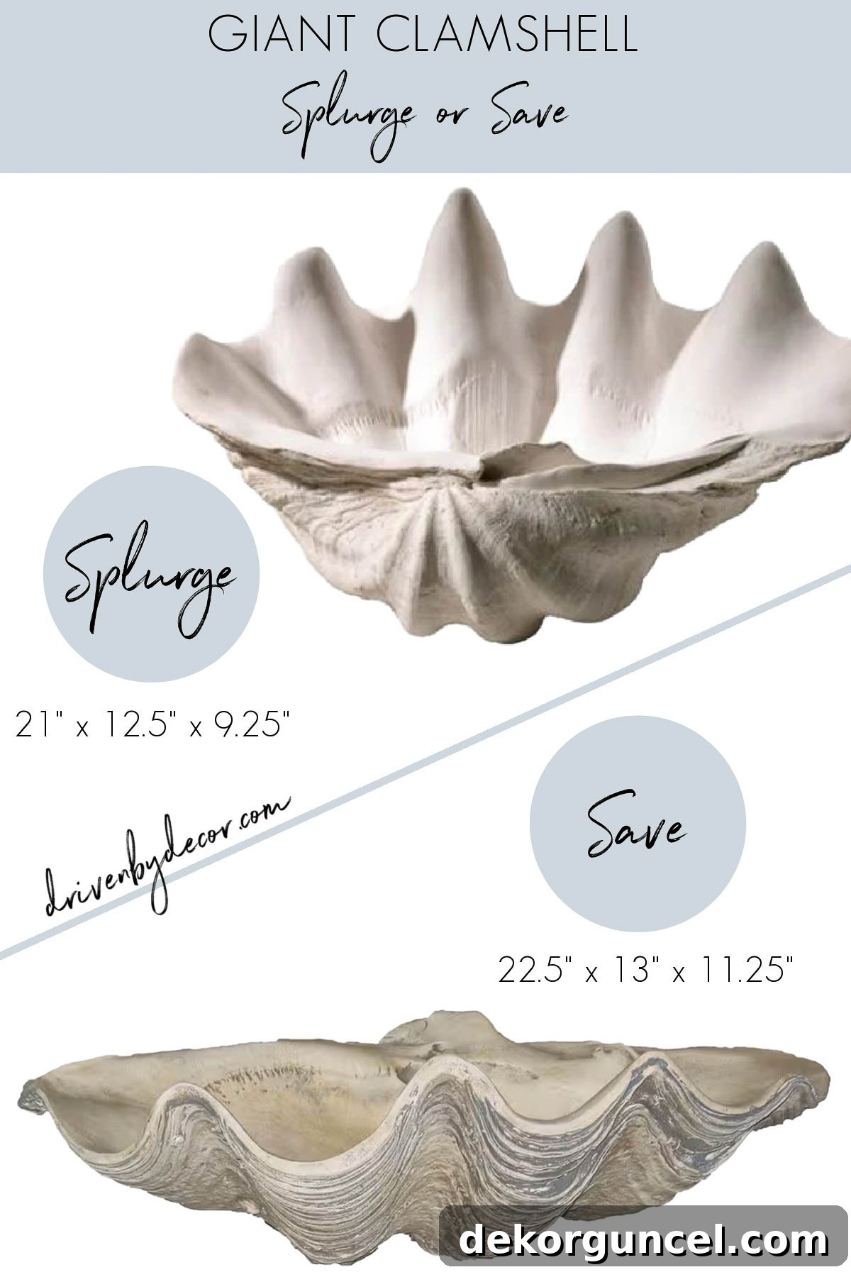 Giant clam shell in both the splurge and look for less save versions, offering grand coastal style