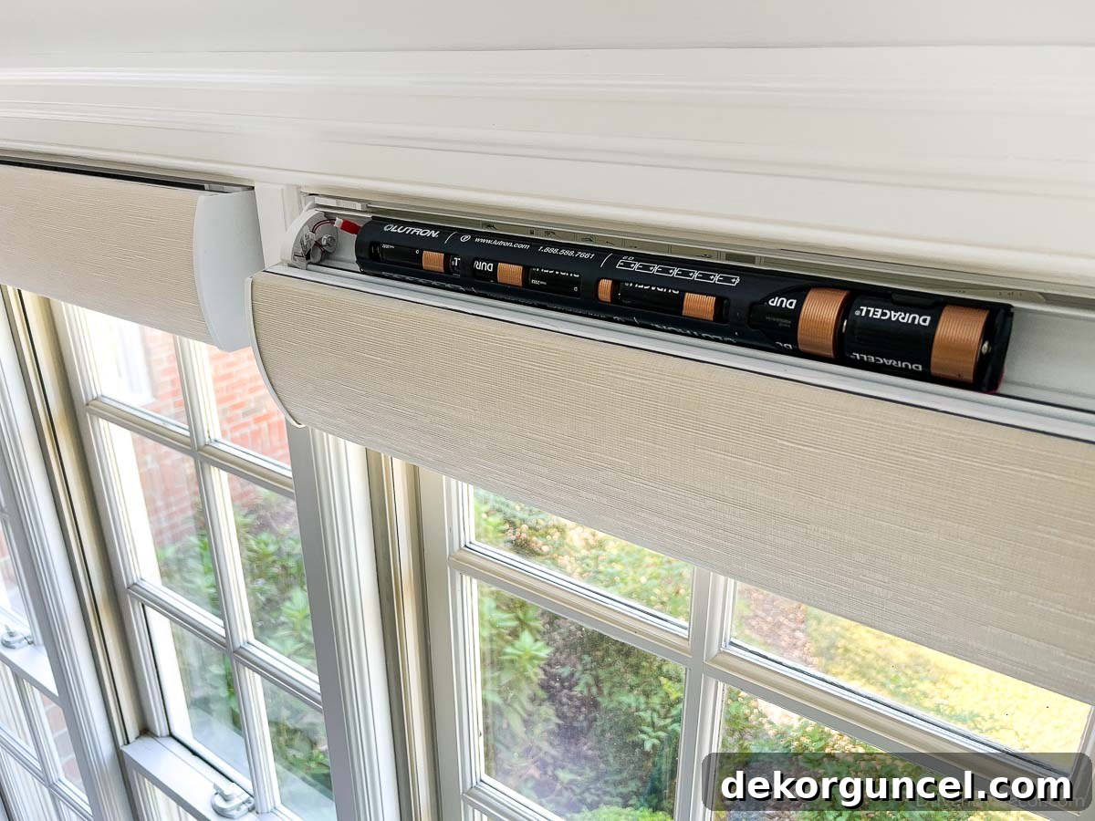 My Serena Smart Shades and Caséta by Lutron Smart Lighting System: My Integrated Smart Home Experience 18 The D batteries that power our Serena Smart Shades