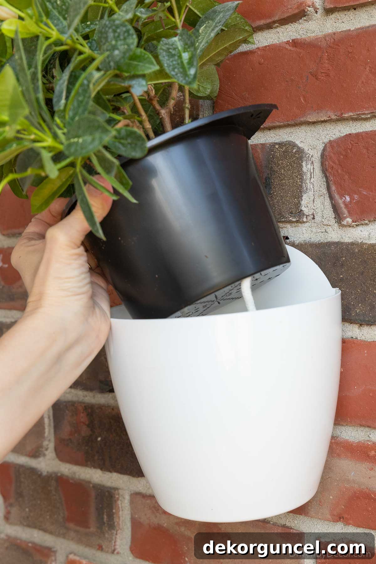 7 Frugal Back Porch Design Secrets 5 Hanging wall planter showing its innovative self-watering mechanism with inner and outer containers