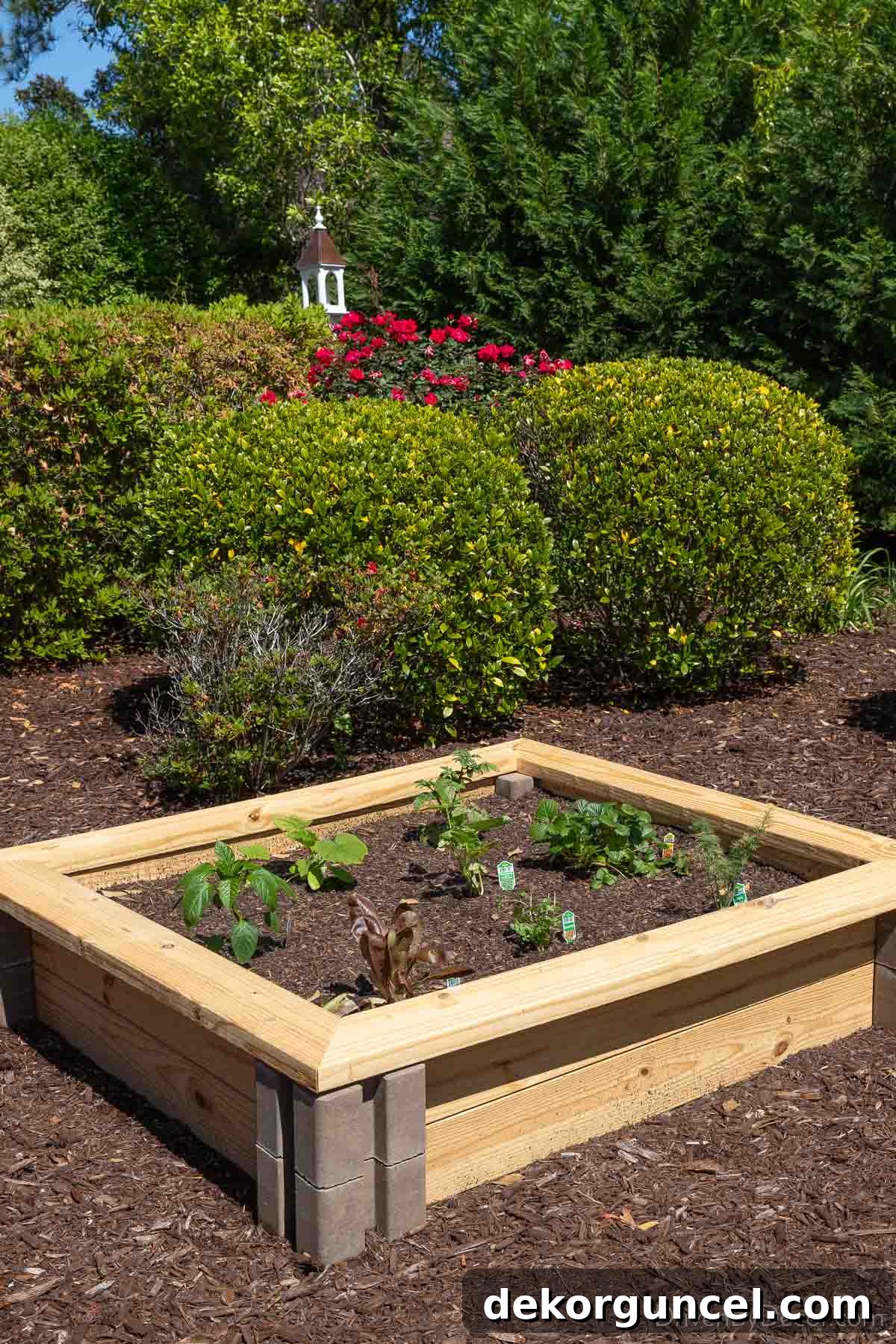 6 Budget-Friendly Raised Garden Bed Ideas 11 Love this inexpensive raised garden bed idea - made of cement blocks & lumber, full of plants