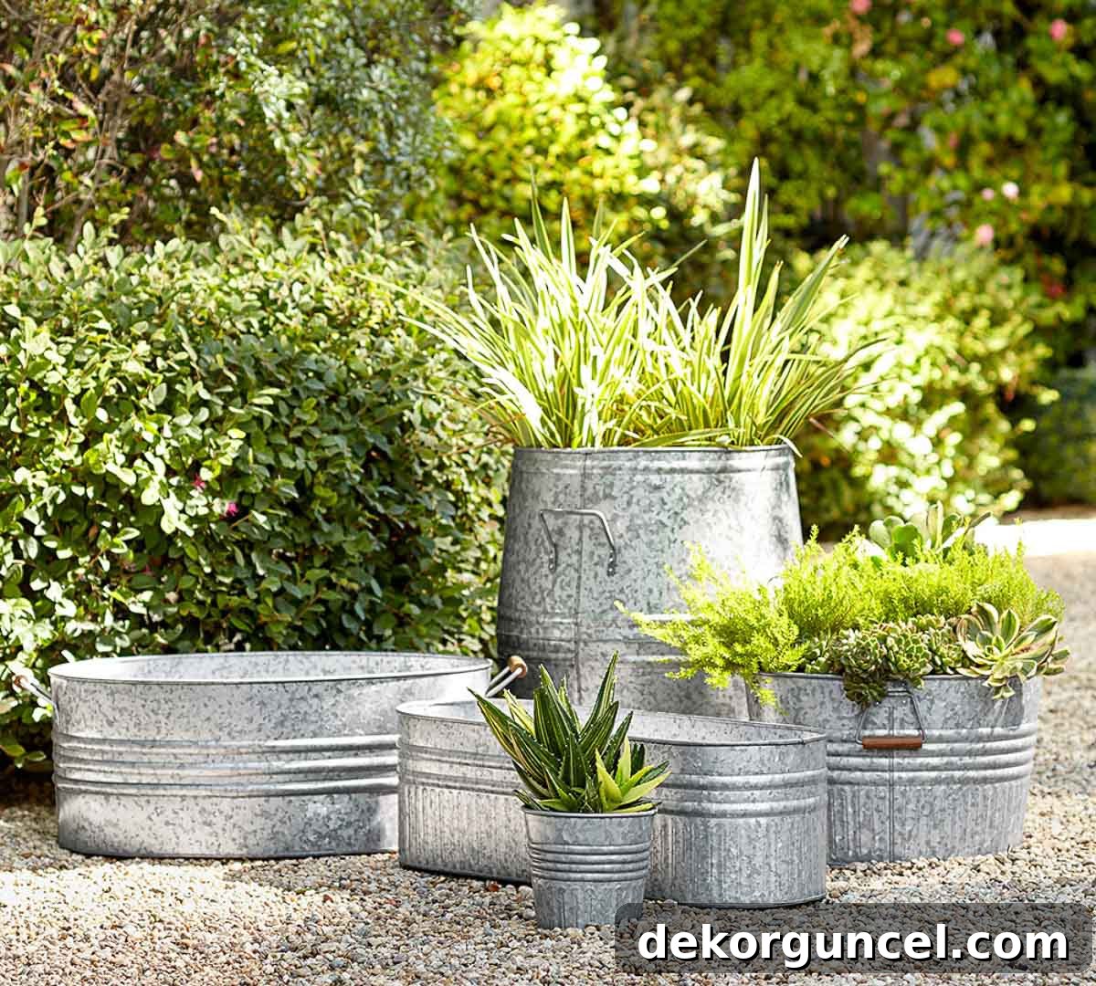 6 Budget-Friendly Raised Garden Bed Ideas 13 A variety of galvanized metal planters, showcasing different shapes and sizes