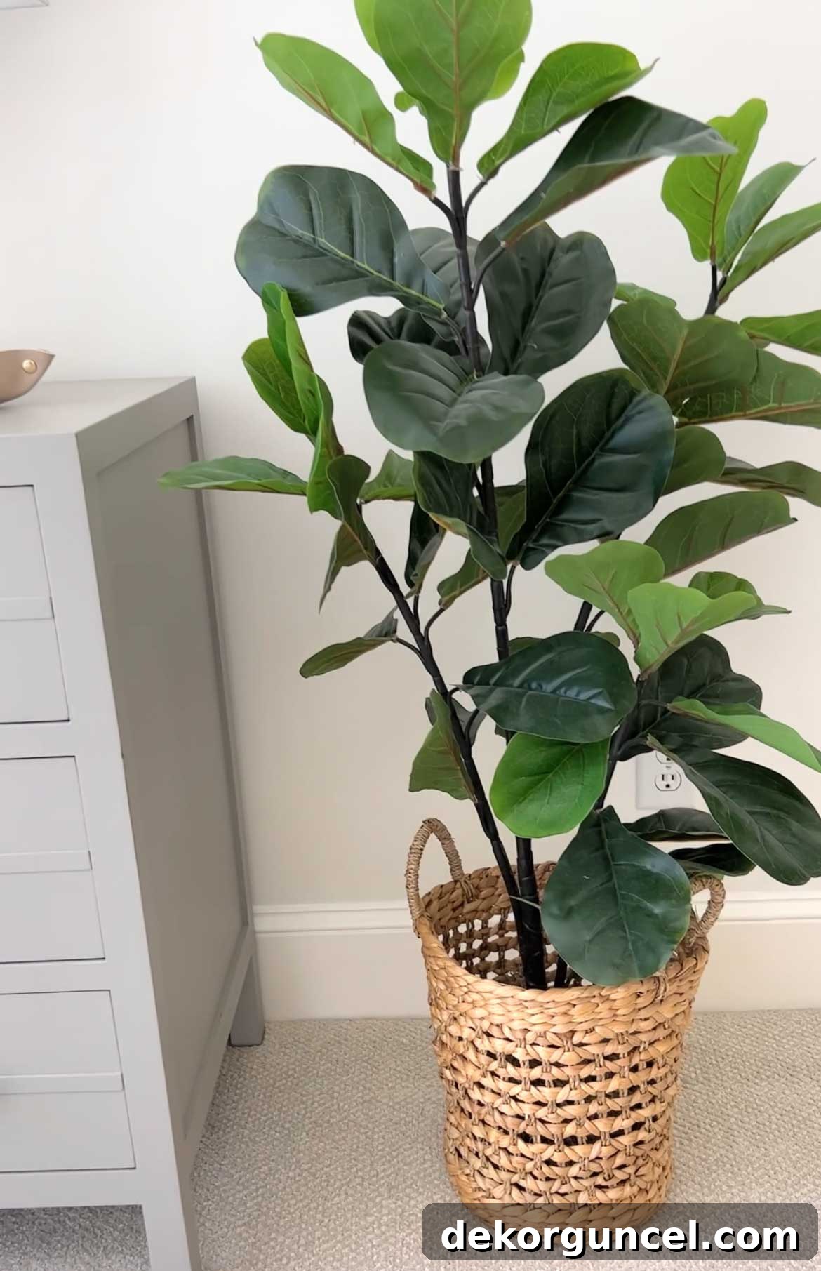 Elevate Your Home Style Top Wallpaper Bathroom Tips and 15 Way Day Essentials 26 Seagrass basket for faux plant