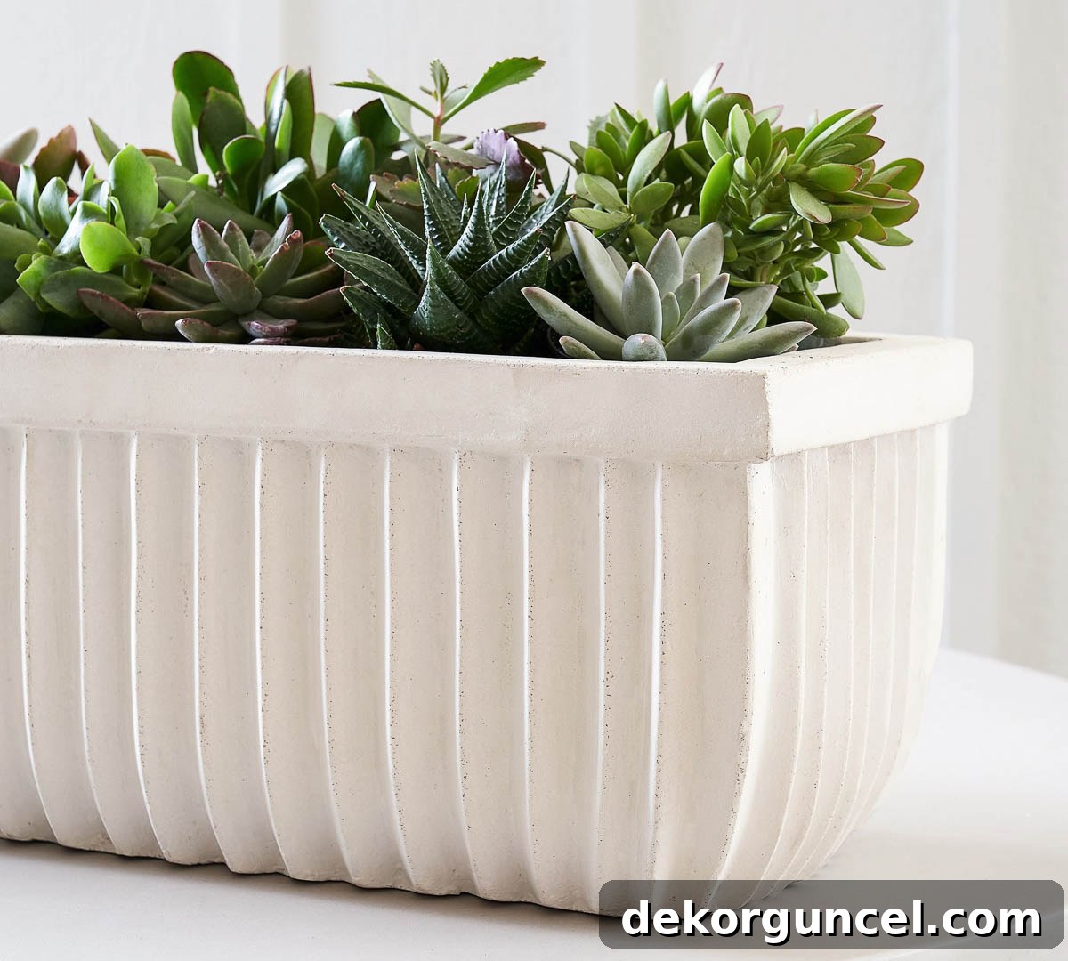 Everyday Dining Table Centerpiece Ideas 9 Vibrant succulents in a white concrete trough, perfect for modern tables