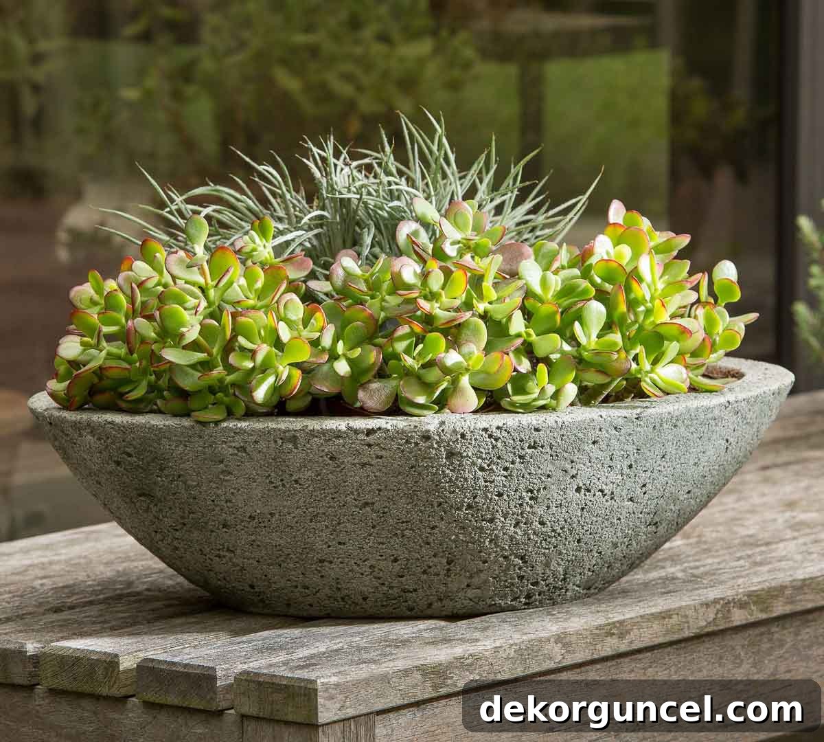Everyday Dining Table Centerpiece Ideas 10 Cast stone bowl with lush succulents, an ideal round dining table centerpiece
