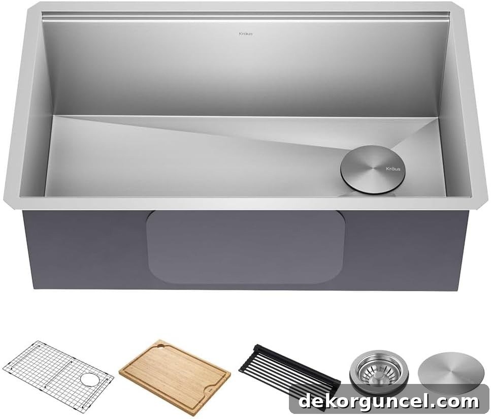 Kitchen Remodel Ideas and Products 16 Kraus stainless steel workstation sink, highlighting its versatile integrated features