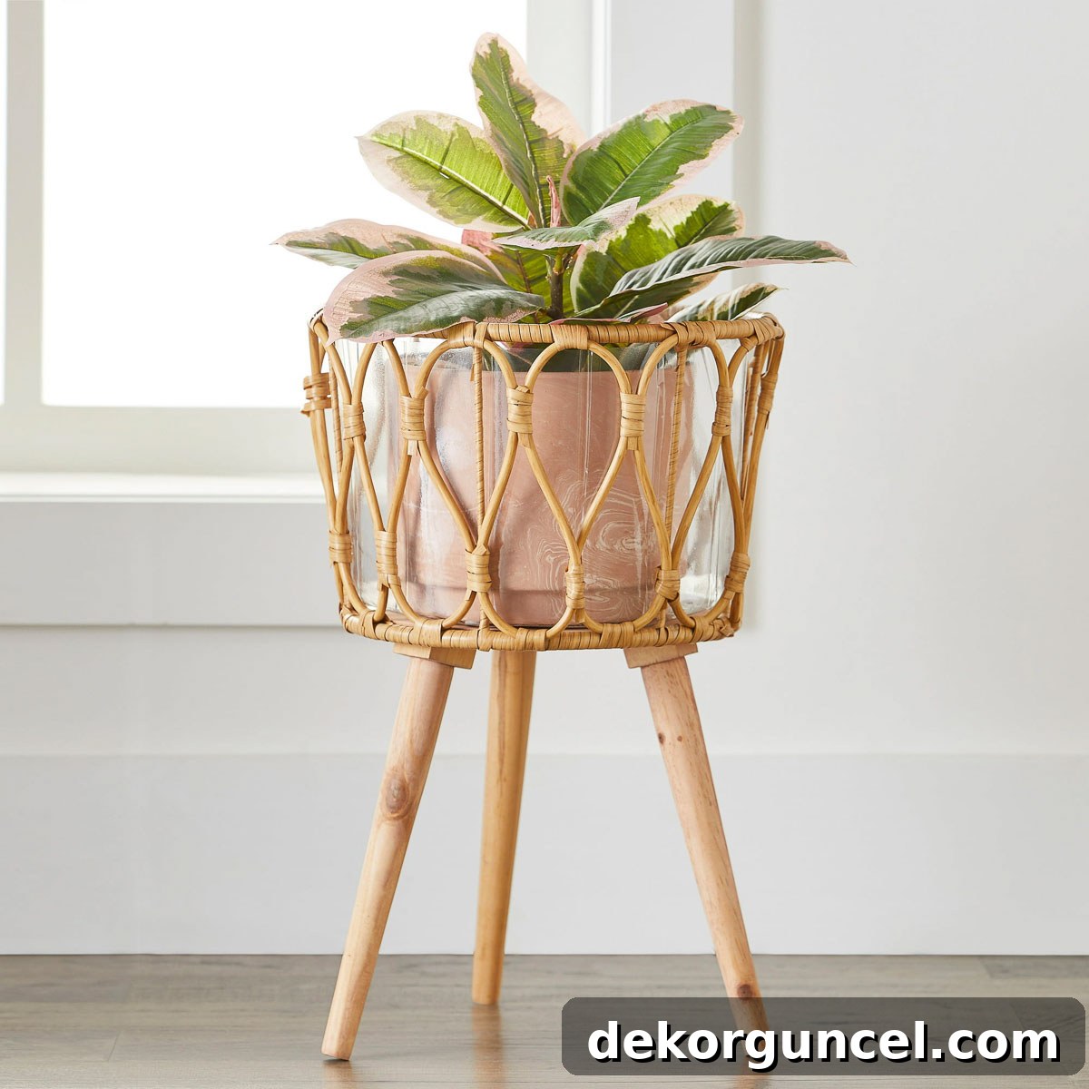 10 Smart Buys for Affordable Home Style 12 An elegant woven plant stand showcasing a vibrant green plant, adding height and natural beauty to a space.