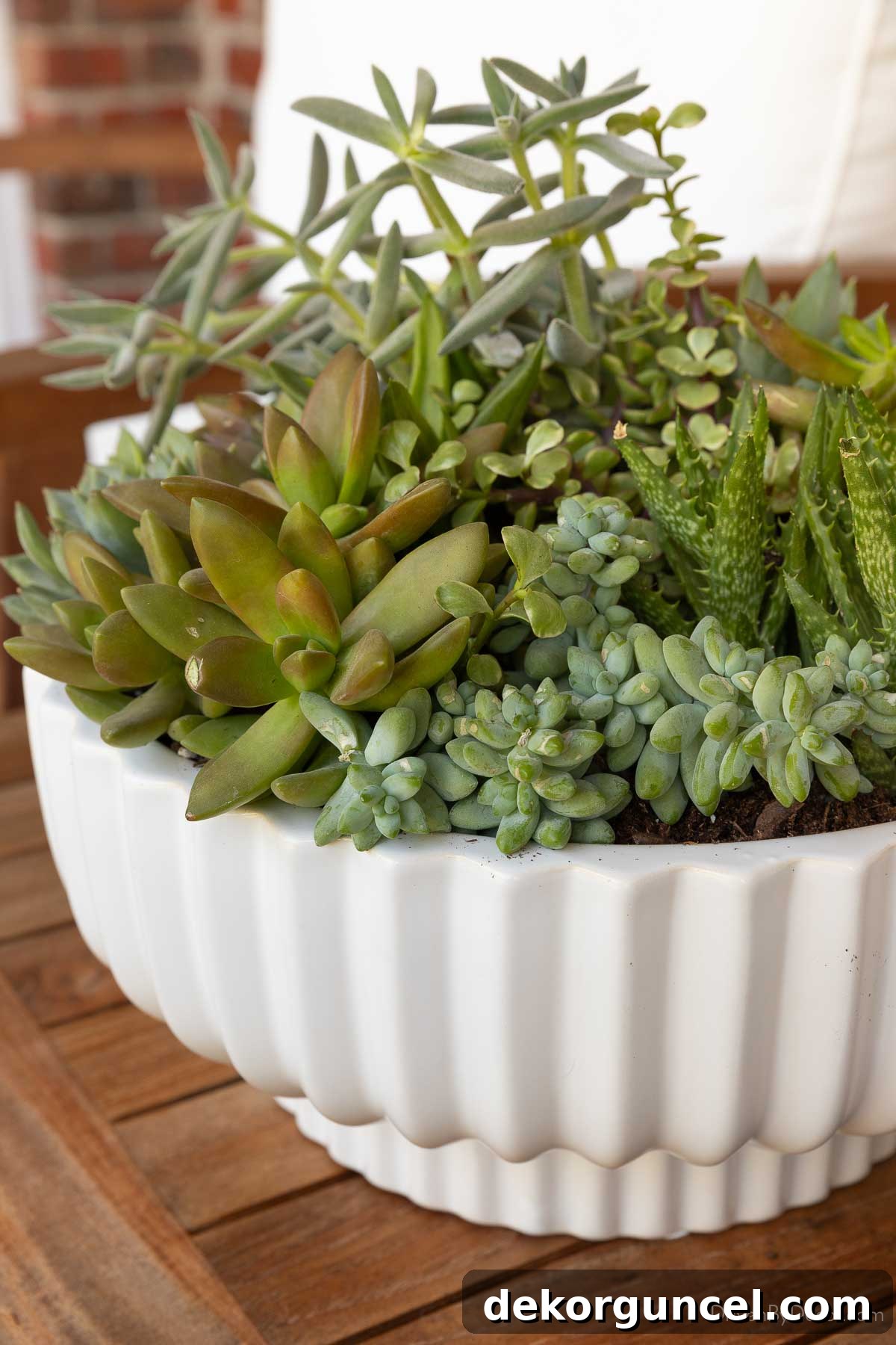 10 Smart Buys for Affordable Home Style 8 A fluted planter generously filled with an assortment of healthy succulents, creating a lush display.