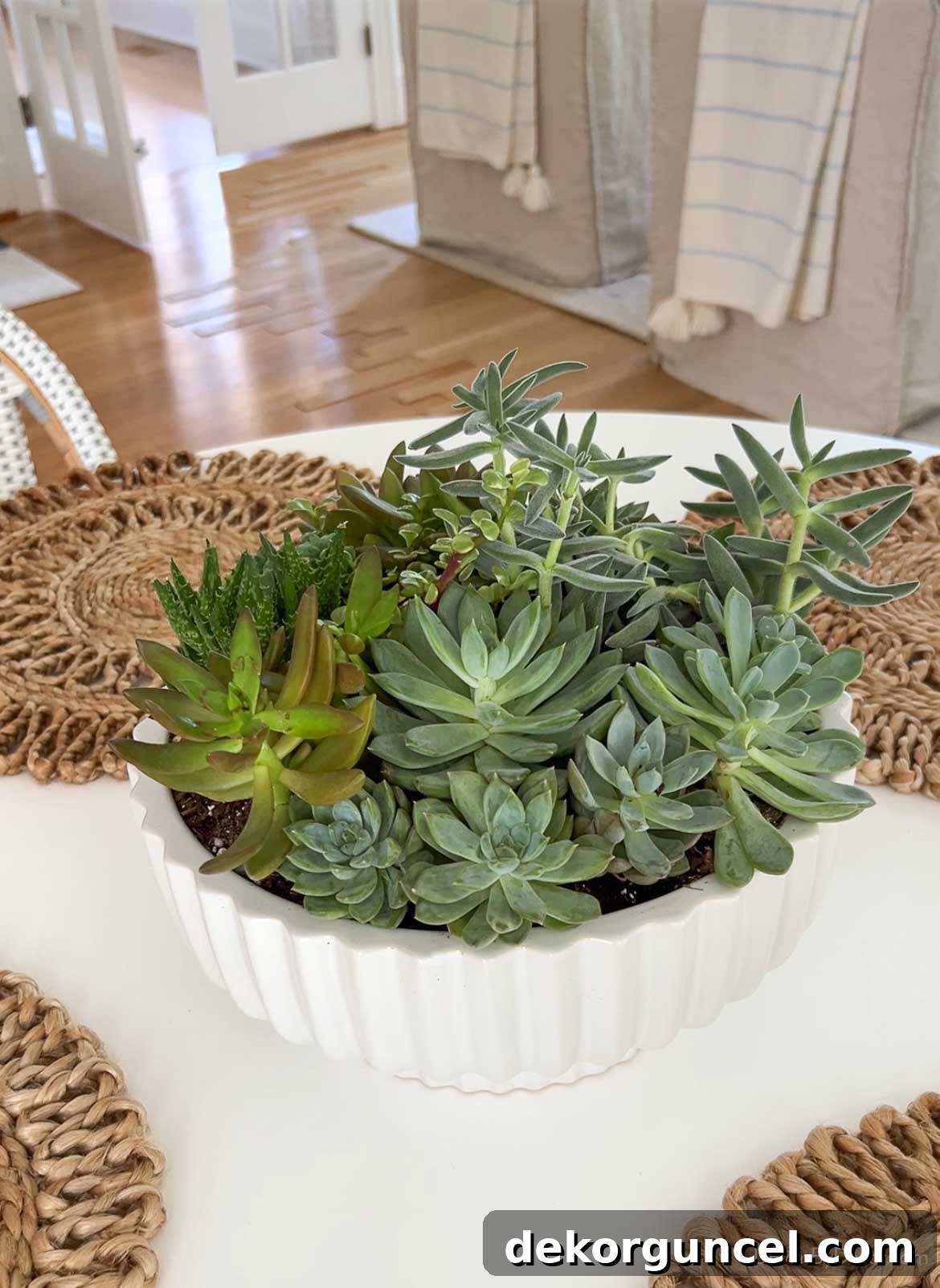10 Smart Buys for Affordable Home Style 9 A decorative bowl, filled with a vibrant collection of succulents, serving as a charming table centerpiece.