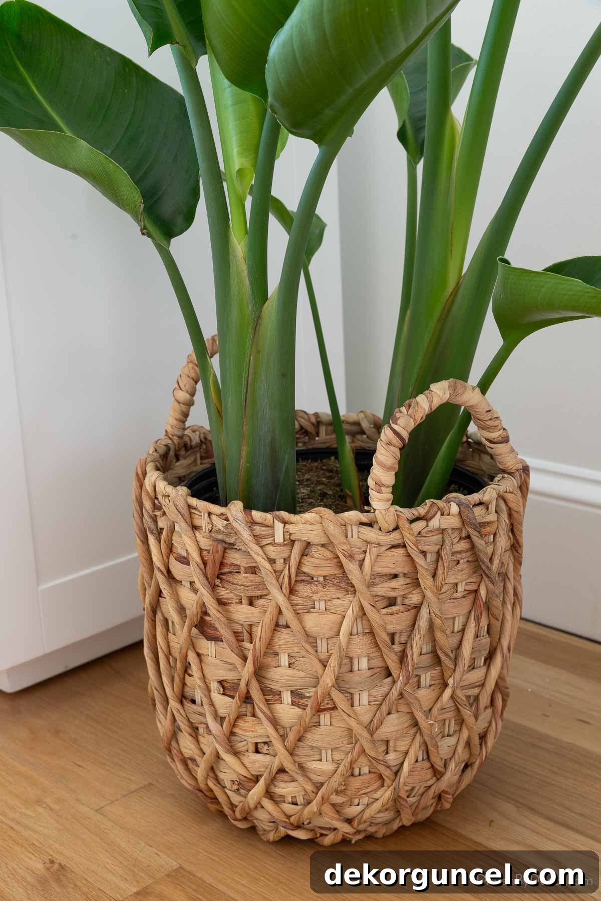 10 Smart Buys for Affordable Home Style 10 An affordable woven planter featuring a distinctive diamond pattern, perfect for indoor plant display.