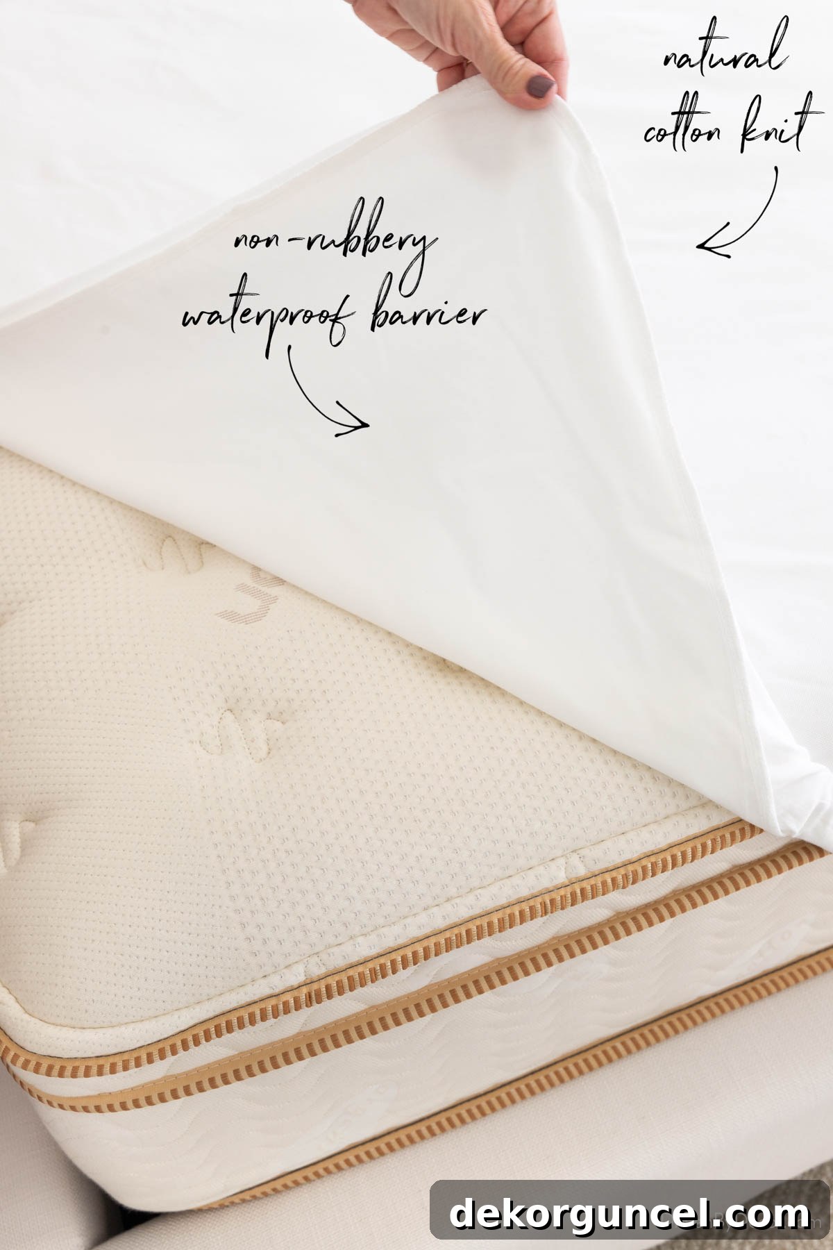 Your Complete Mattress Guide: Shopping, Cleaning, and Care 10 Putting mattress protector on mattress