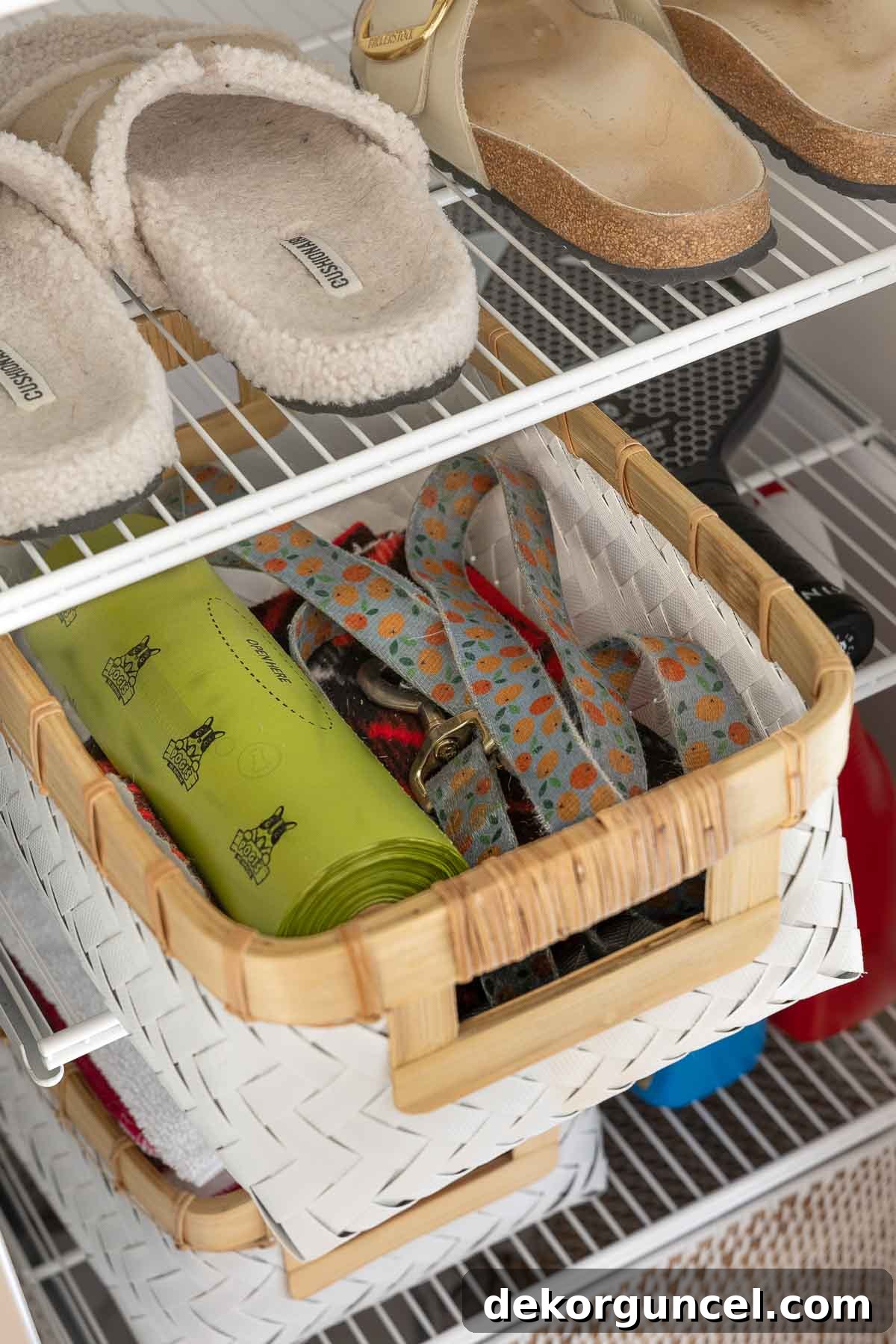 Declutter Your Home From Laundry Room Closet to Versatile Door Storage 10 Bin in laundry room closet with dog walking supplies