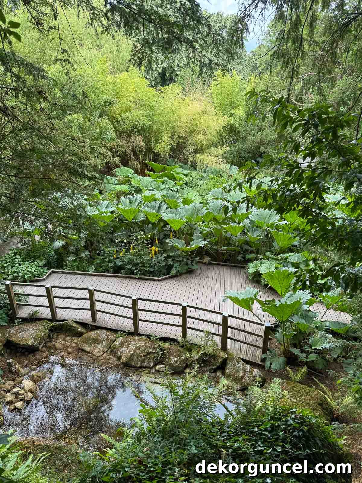 The lush grounds of the Blarney Castle