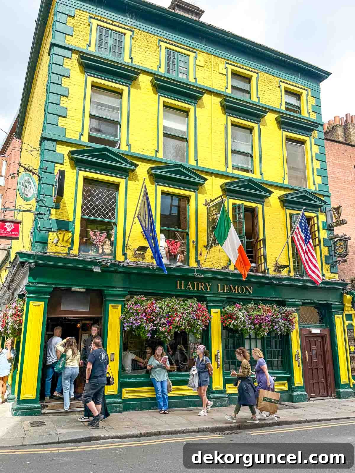 The Hairy Lemon pub in Dublin