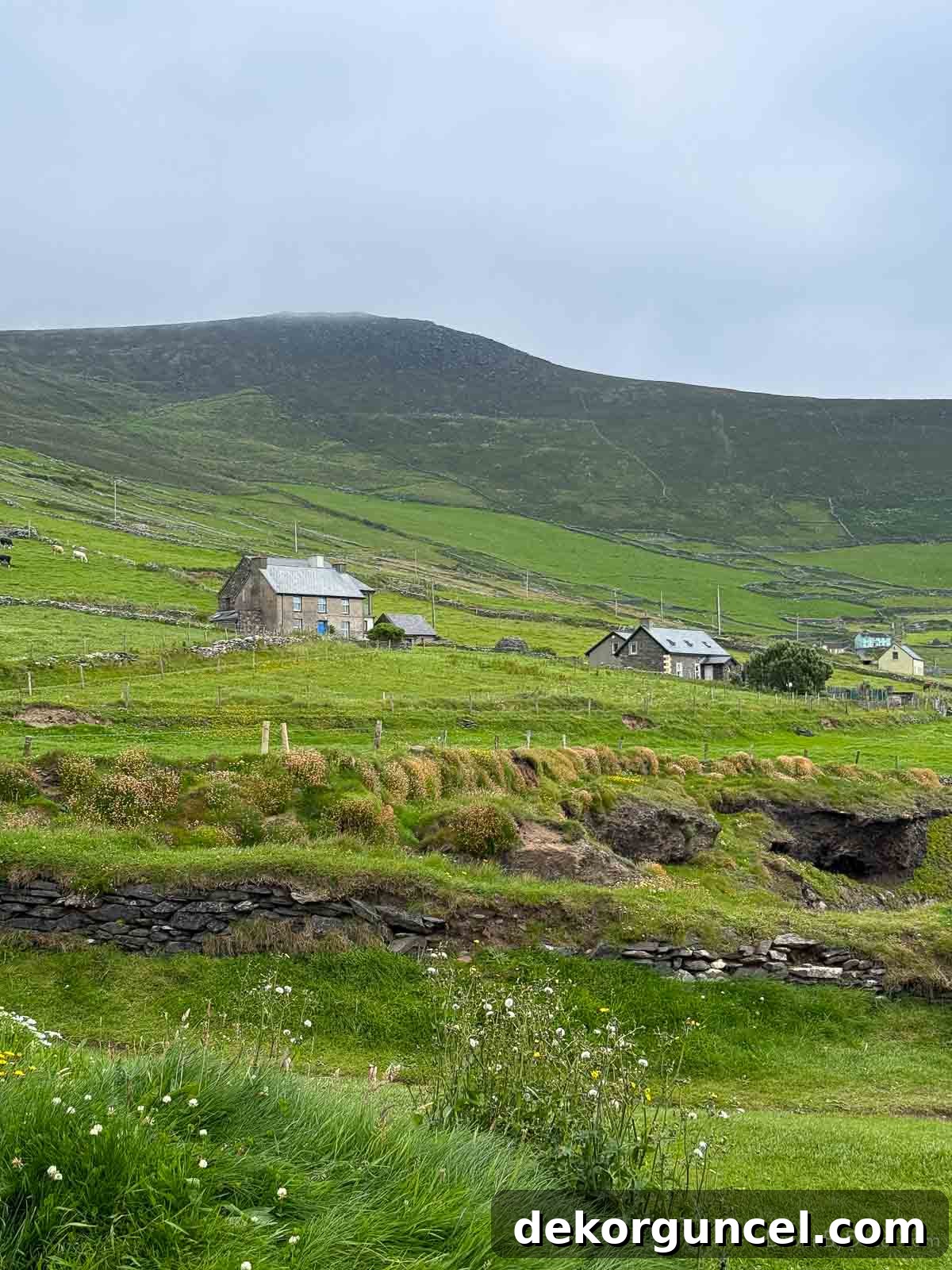 Ireland countryside