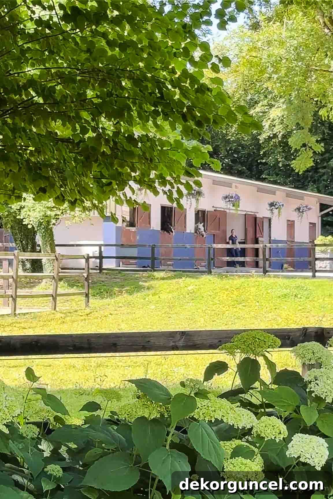 Ashford Castle stables