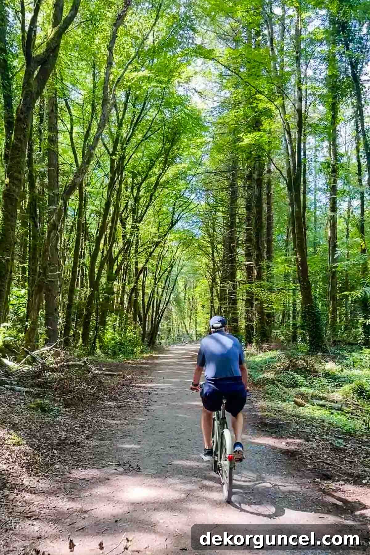 Bike riding at Ashford Castle