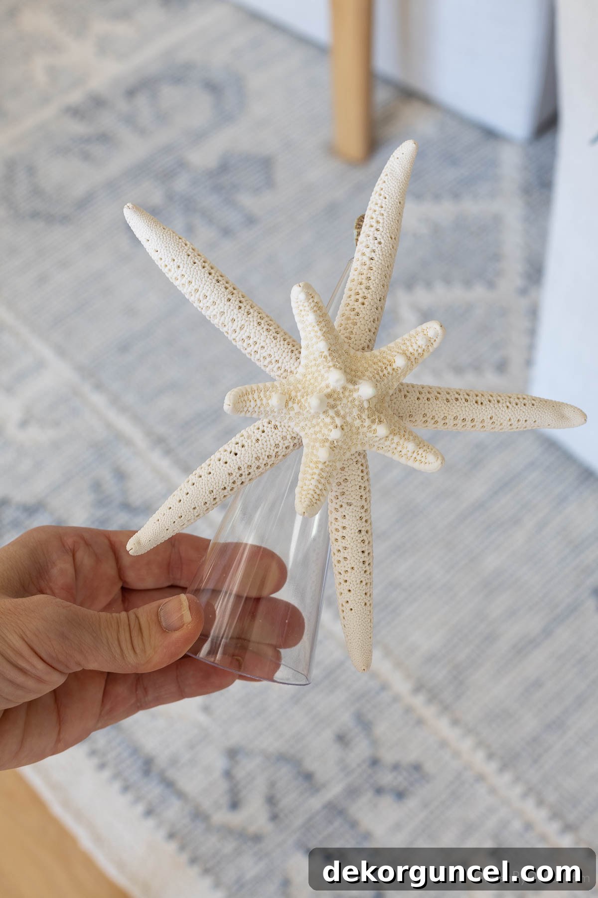 Close-up of a starfish tree topper for a coastal Christmas tree