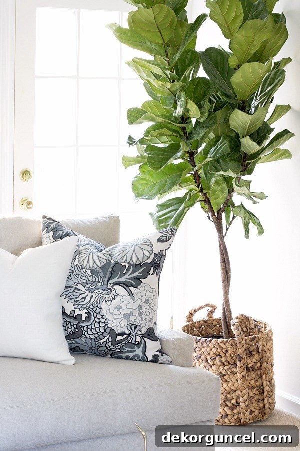 The Most Realistic Faux Fiddle Leaf Fig Trees 6 A stylish woven basket serving as the perfect "pot" for an indoor faux tree!