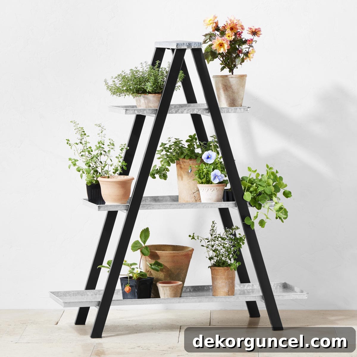 Elevate Your Home Decor With Clever Ladder Designs 8 Decorative ladder with galvanized shelves for holding plants