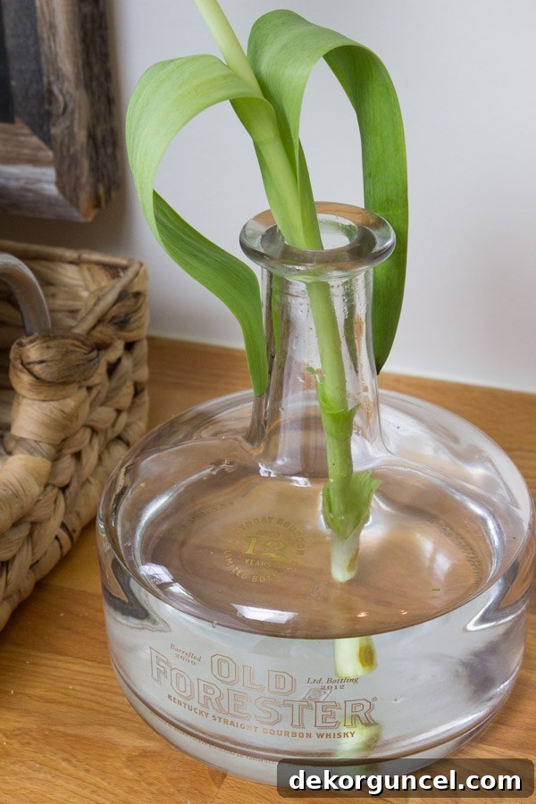 Old liquor bottle used as bud vase