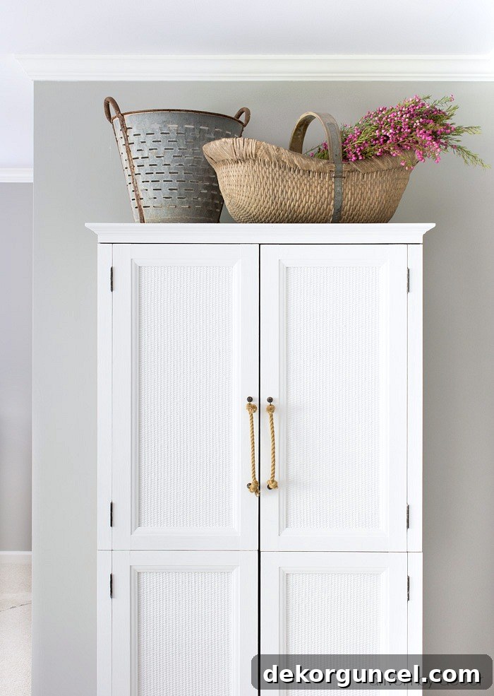 TV cabinet painted and turned into clothes armoire
