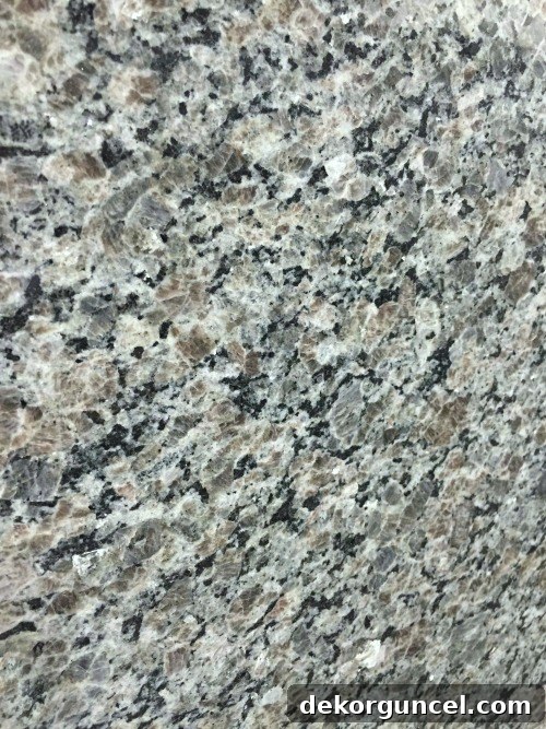 My Go-To Affordable Granite 5 Close-up of New Caledonia Oyster Pearl granite showcasing its neutral color palette