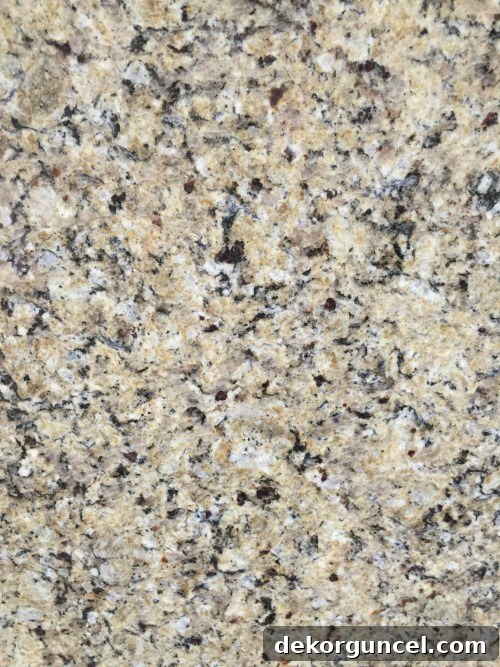 My Go-To Affordable Granite 7 Detailed view of New Venetian Gold granite, highlighting its warm golden and brown hues