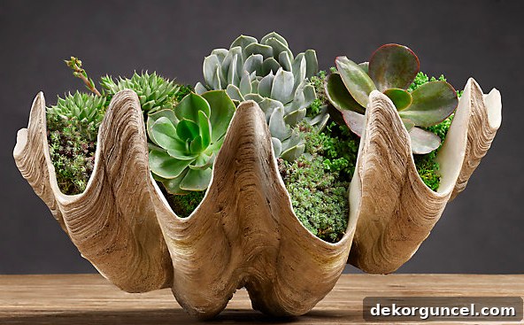 Love this giant clam shell filled with plants!