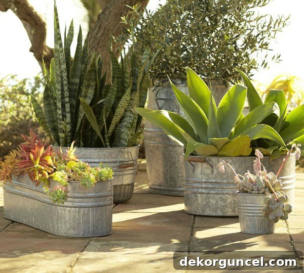 Galvanized metal tubs filled with a mix of colorful plants creating a vibrant display for outdoor decor.