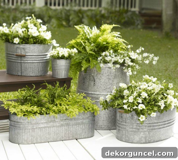 A collection of galvanized metal planters arranged on a patio, showcasing a variety of plants for a cohesive outdoor garden look.