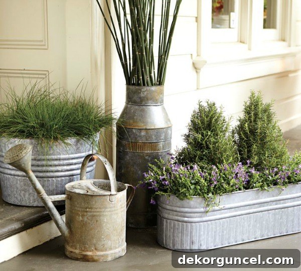 Rustic galvanized bucket planters holding vibrant flowering plants, ideal for adding a touch of farmhouse style to any outdoor setting.