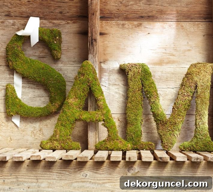 Decorative Letters: Top Sources and Creative Home Decor Ideas 6 Unique decorative letters made from fresh moss, adding a natural and vibrant touch to home decor, suitable for any room.