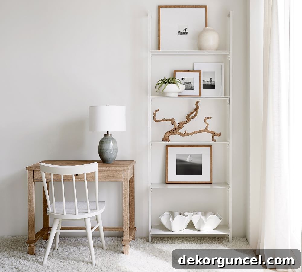 Driftwood used for decorating bookcase