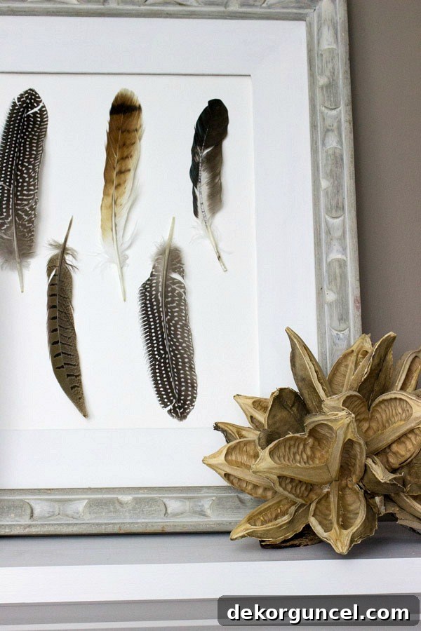 Close-up of DIY feather art and a unique star seed pod on the fireplace mantel