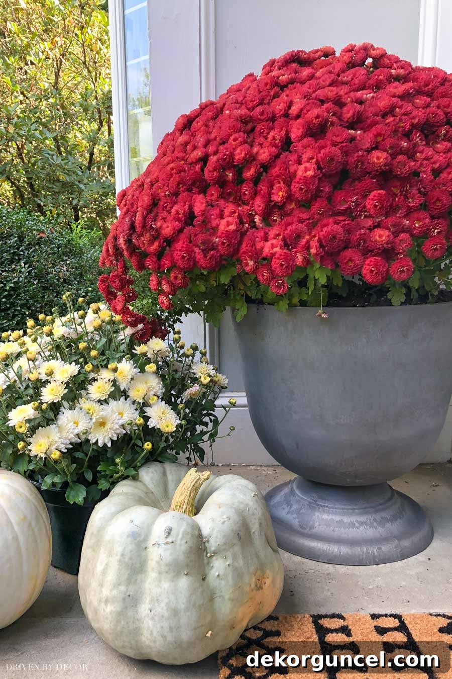 The perfect gray urn planters for your front porch at a GREAT price!!
