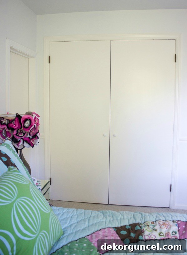 My Top 10 DIY Home Projects 21 The 'before' image of a plain, flat closet door, illustrating its basic and uninspired appearance before undergoing a DIY enhancement.
