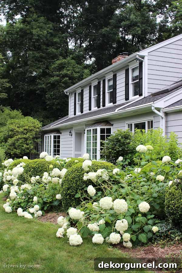Our Connecticut Home | Benjamin Moore Coventry Gray | White trim | Black shutters and door | Bay windows | Hydrangeas