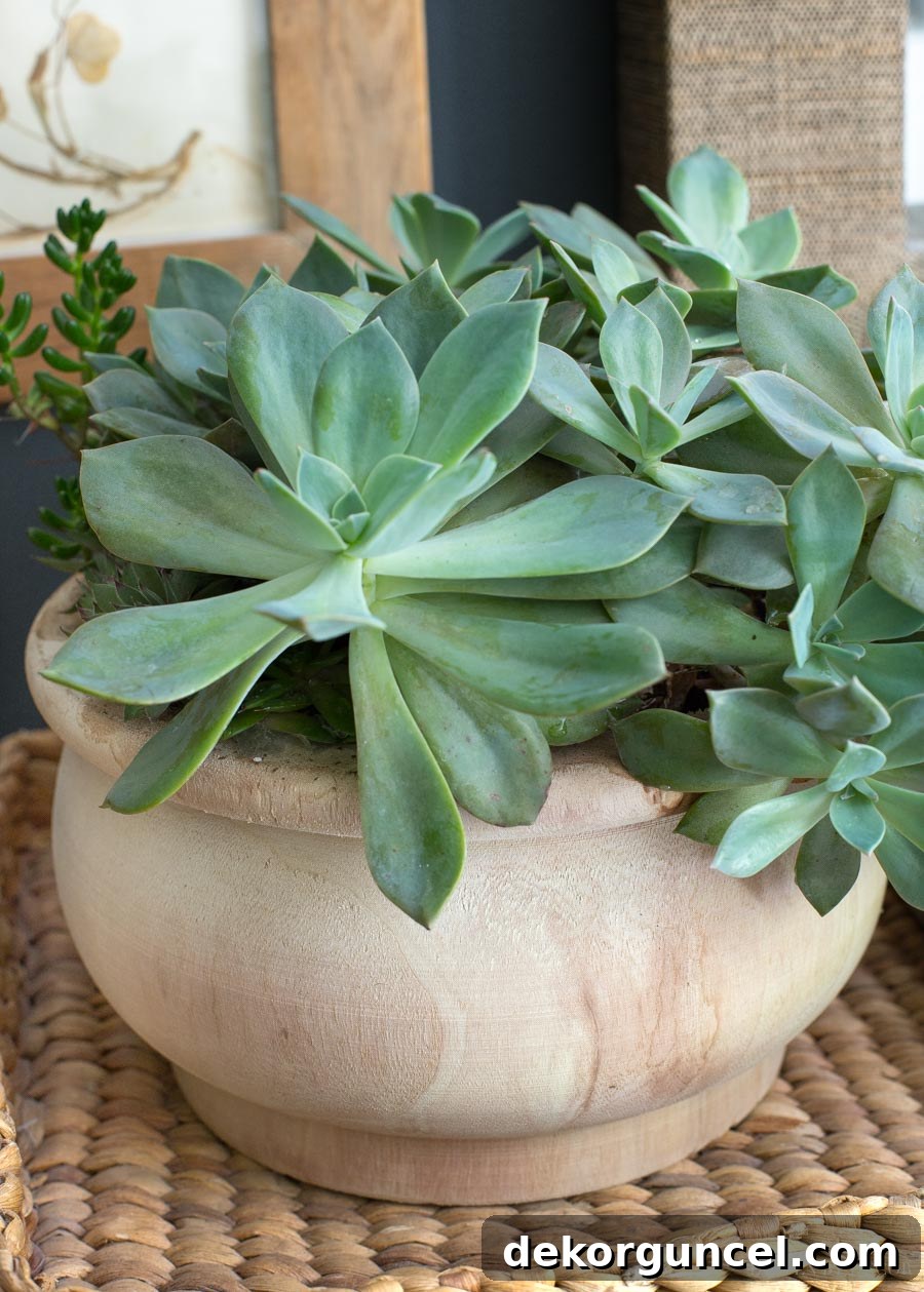 This round wood planter is gorgeous!!