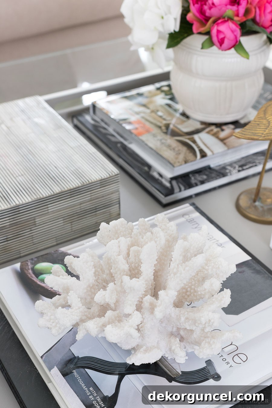 A piece of white coral serving as a natural book topper on a coffee table, adding an organic element to the decor.