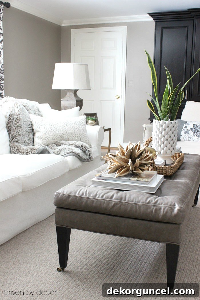 A resilient snake plant on a coffee table, perfect for low-maintenance yet stylish coffee table decor.