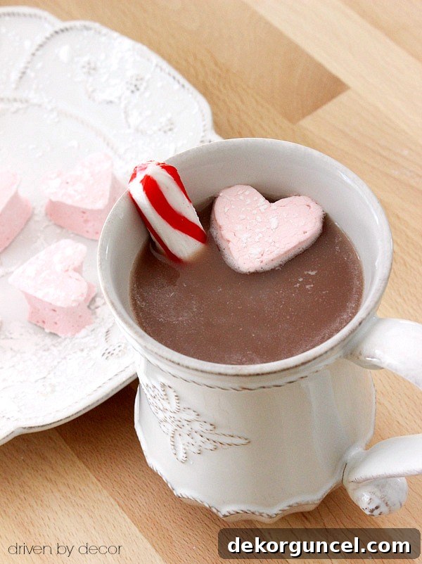 Yum! Recipe for homemade hot chocolate and marshmallows!!