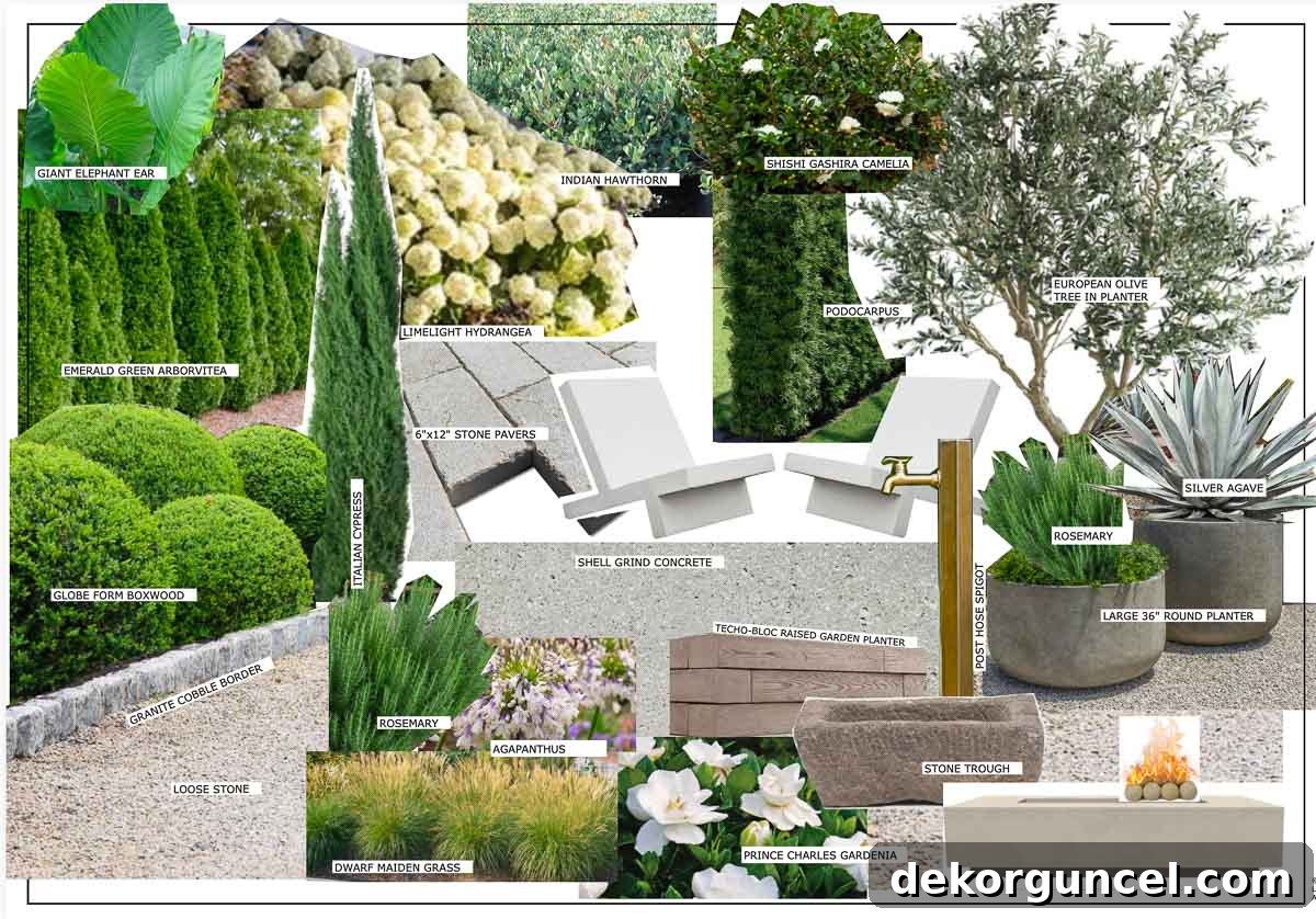 Inspiration board for a beautiful landscape design project, featuring an English garden aesthetic