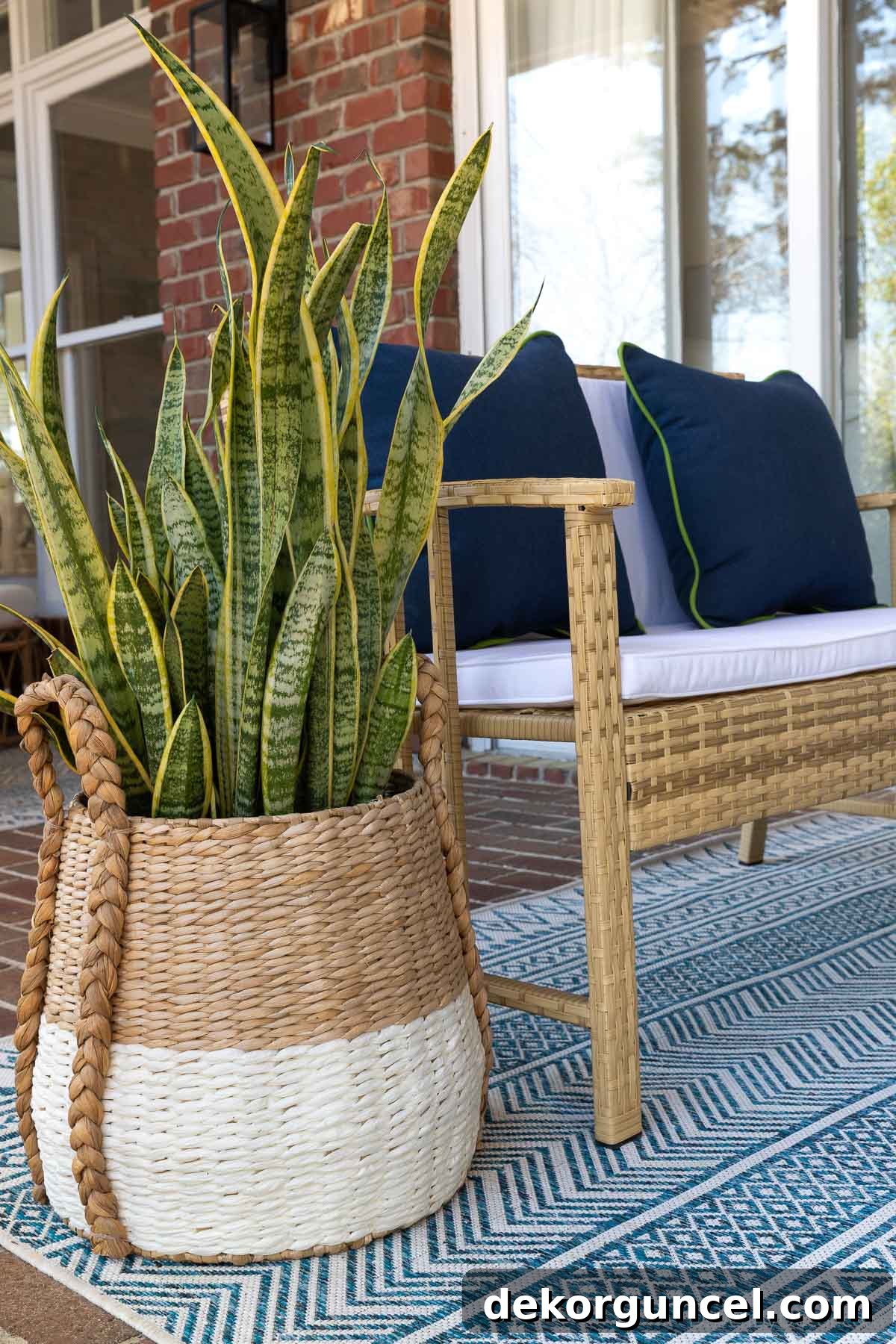 Small Budget, Big Impact: 50 Home Updates Under $50 5 Snake plant in planter on back porch next to woven loveseat